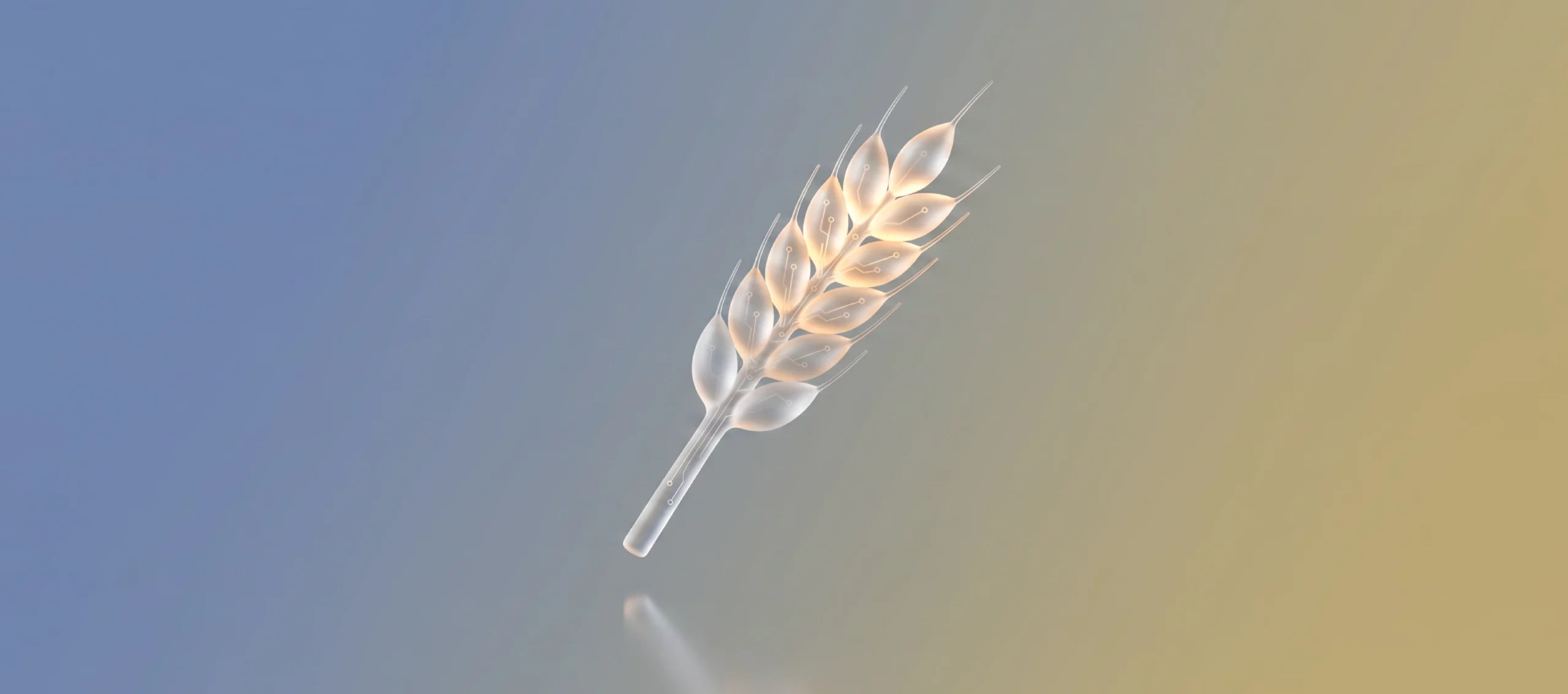 Agritech AI engineering cover showing a glowing ear of wheat traced with circuit lines, joining farming and artificial intelligence