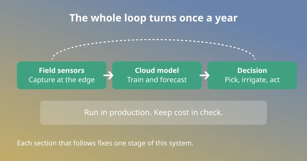 Agritech AI engineering loop turning once a year: field sensors capture at the edge, a cloud model forecasts, then a decision to pick or irrigate