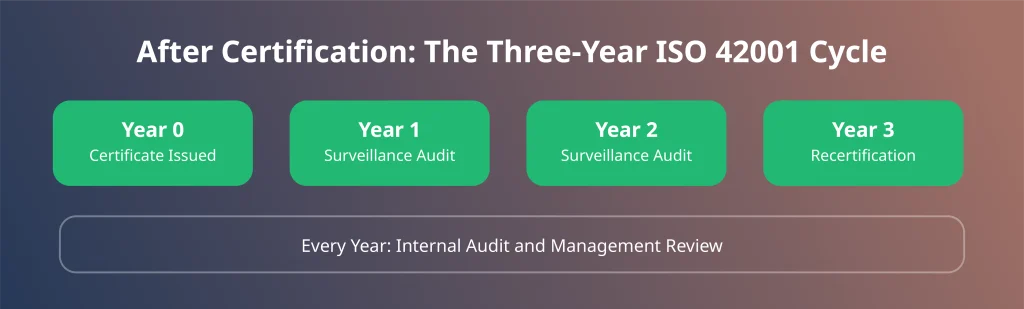 ISO 42001 three-year certification cycle with surveillance audits in years one and two and recertification in year three